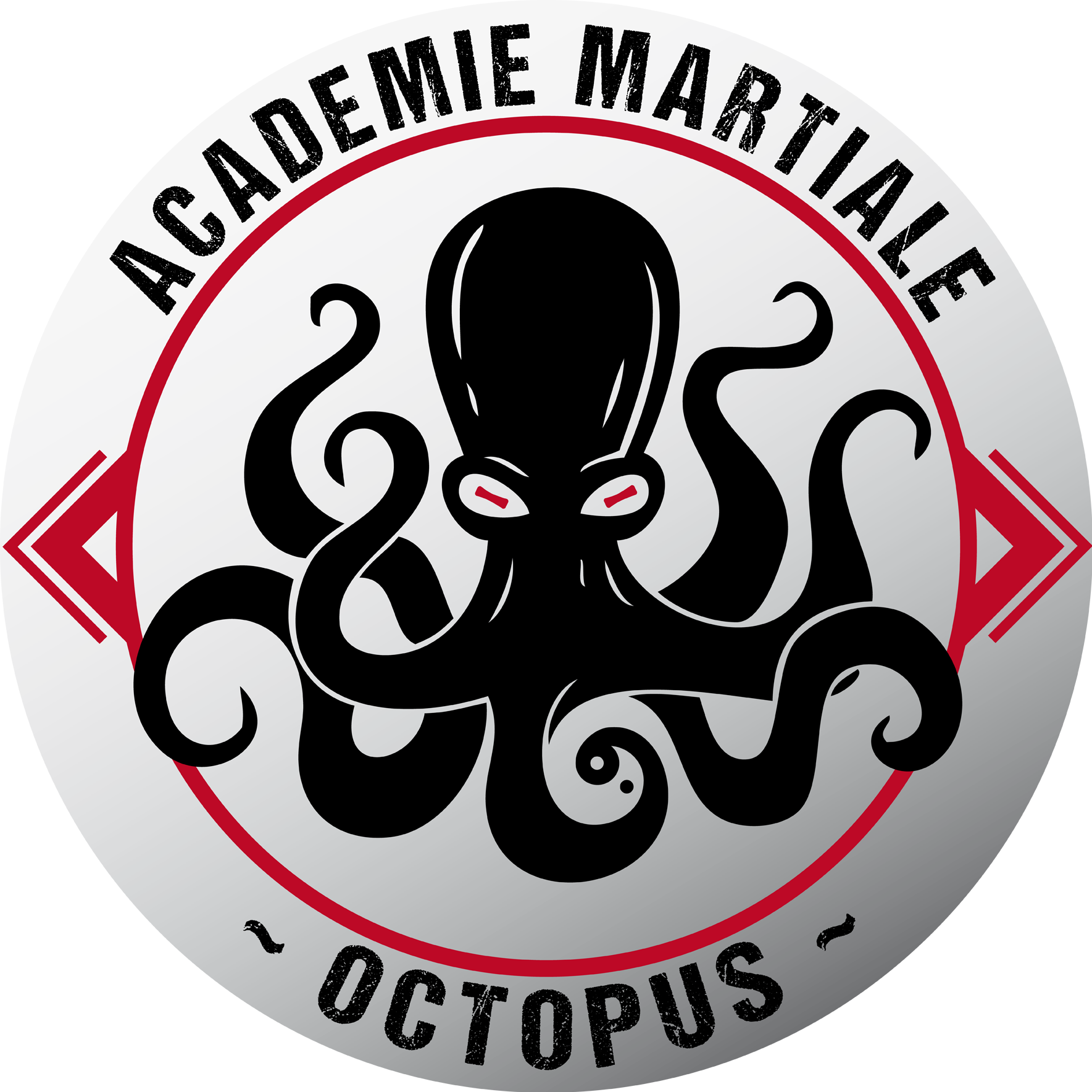 Académie Martiale Octopus